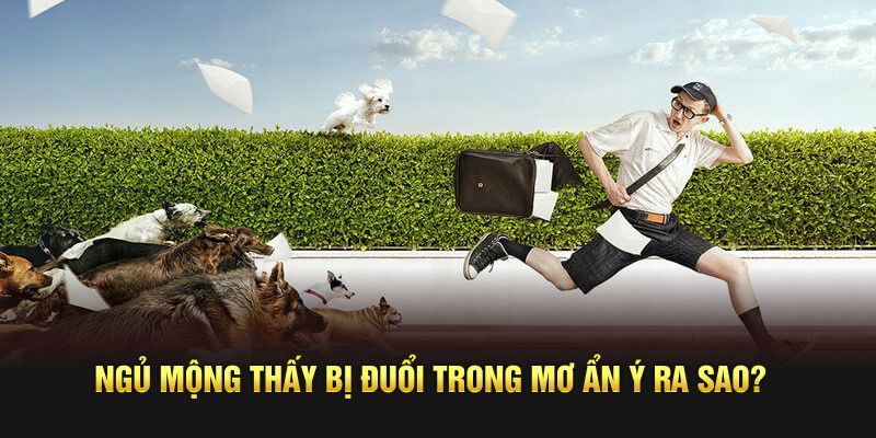Ngủ mộng thấy bị đuổi trong mơ ẩn ý ra sao?